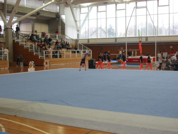 Photo 2 – Genevoise au Bois-des-Frères (16 avril)