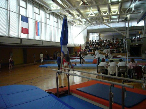 Photo 143 – Genevoise au Bois-des-Frères (19 avril)