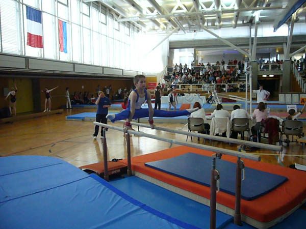 Photo 146 – Genevoise au Bois-des-Frères (19 avril)
