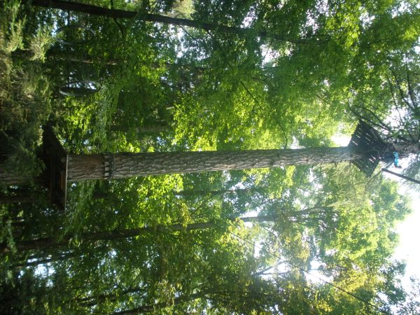 Photo 45 – Fin de saison au Signal de Bougy (30 juin)