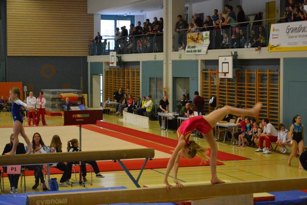 Photo 18 – Bernoise à Utzenstorf (11 mai)