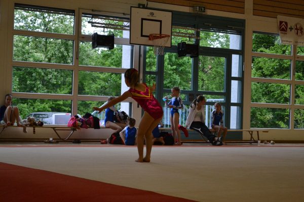 Photo 66 – Bernoise à Utzenstorf (11 mai)