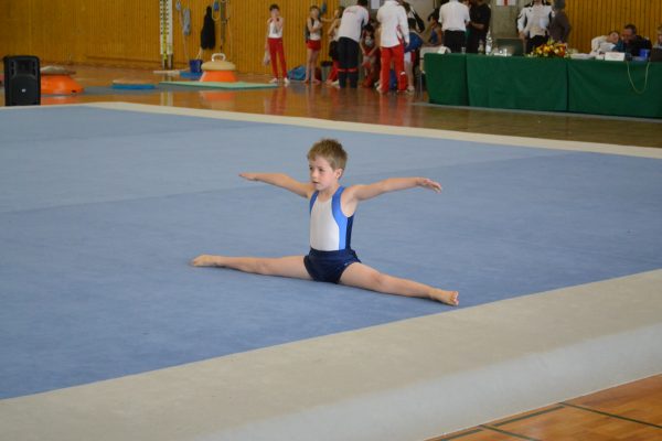 Photo 33 – Genevoise au Bois-des-Frères (4-5 mai)
