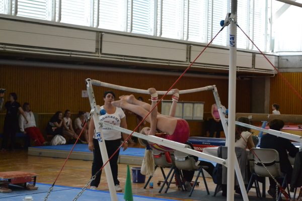 Photo 58 – Genevoise au Bois-des-Frères (4-5 mai)