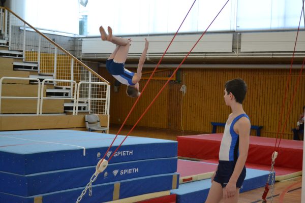 Photo 65 – Genevoise au Bois-des-Frères (4-5 mai)