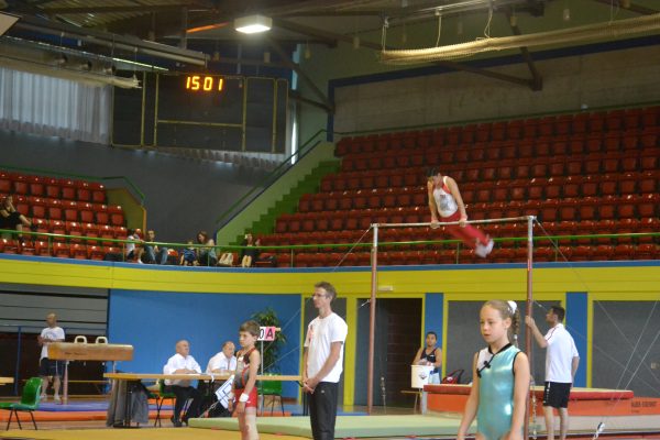 Photo 193 – Championnats romands par équipe et par engin à Montreux (15 mai)