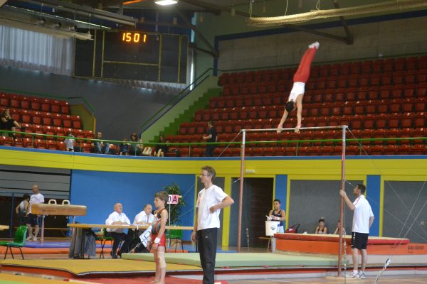 Photo 199 – Championnats romands par équipe et par engin à Montreux (15 mai)
