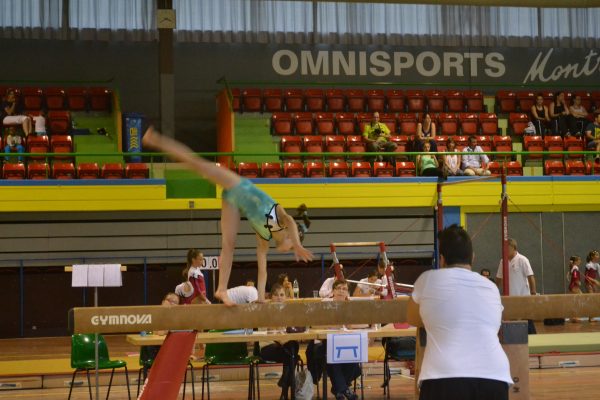 Photo 222 – Championnats romands par équipe et par engin à Montreux (15 mai)