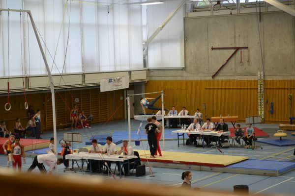 Photo 34 – Genevoise au Bois-des-Frères (2 mai)