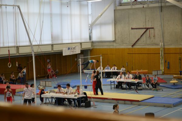 Photo 35 – Genevoise au Bois-des-Frères (2 mai)