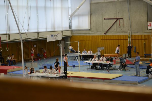 Photo 37 – Genevoise au Bois-des-Frères (2 mai)