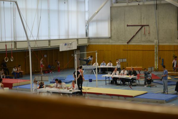 Photo 39 – Genevoise au Bois-des-Frères (2 mai)