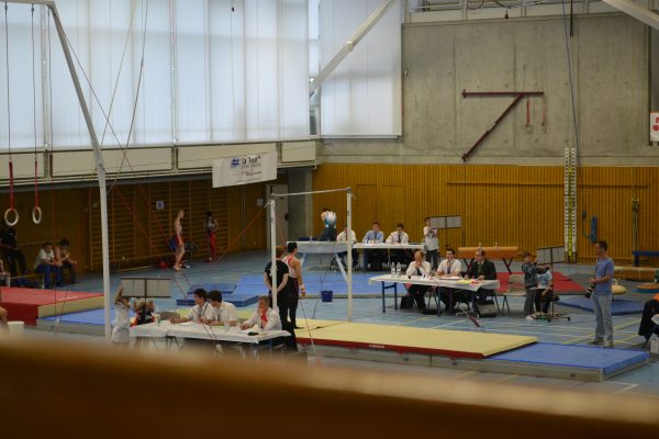 Photo 40 – Genevoise au Bois-des-Frères (2 mai)