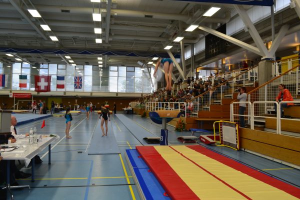 Photo 87 – Genevoise au Bois-des-Frères (2 mai)
