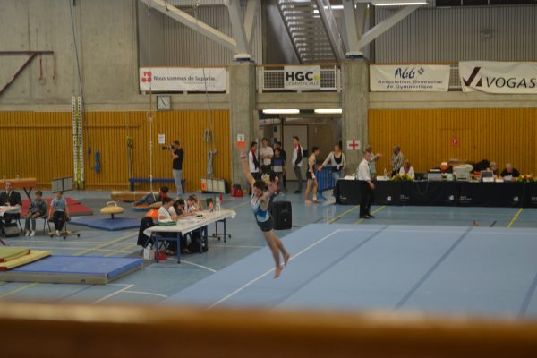 Photo 156 – Genevoise au Bois-des-Frères (2 mai)