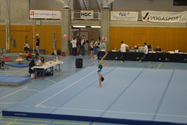 Photo 163 – Genevoise au Bois-des-Frères (2 mai)
