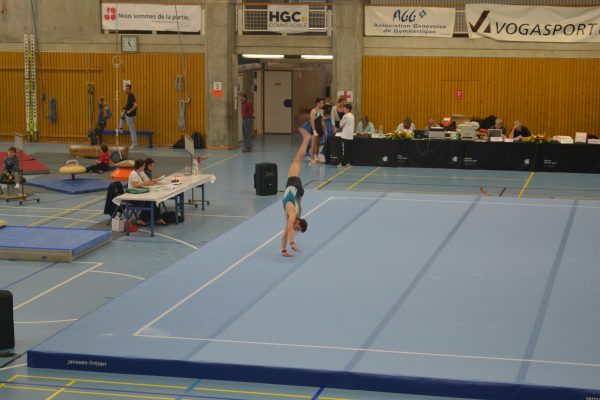 Photo 180 – Genevoise au Bois-des-Frères (2 mai)
