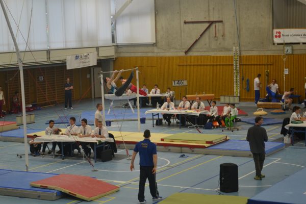 Photo 191 – Genevoise au Bois-des-Frères (2 mai)