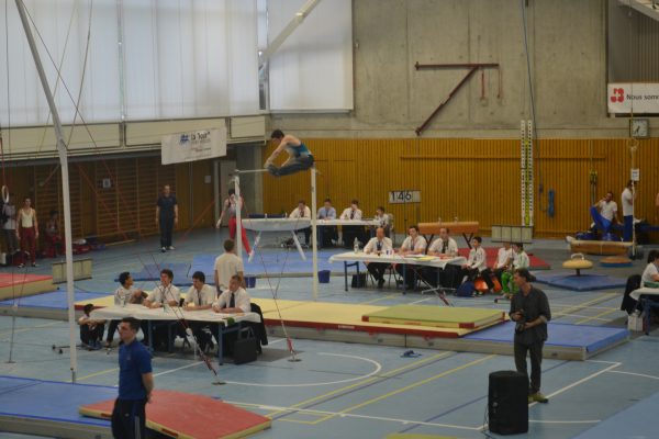 Photo 192 – Genevoise au Bois-des-Frères (2 mai)