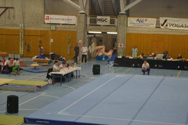 Photo 196 – Genevoise au Bois-des-Frères (2 mai)