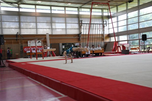 Photo 227 – Fête romande à Lausanne (17 juin)