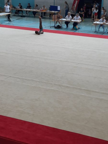 Photo 27 – Bernoise à Uetendorf (21 mai)